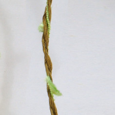 Cordino Foglie verde oliva