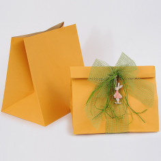 Sacchi Carta Box arancio