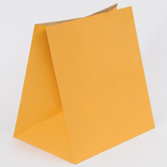 Sacchi Carta Box arancio