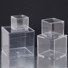 Cubo Plexiglass INSIEME