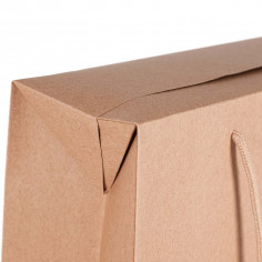 Bag Box in Carta Resistente da vicino