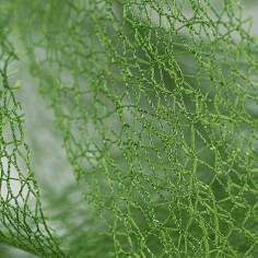 Rete in Fili di Cotone Intrecciato a Fascia Larga - Paradise verdone texture