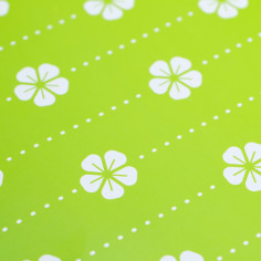 Bag Box in Carta Resistente Rettangolare - Fiori verde stampa