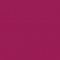 Fogli in Carta Velina Colorata - Cm 50x76 Confezione da 24 Fogli fucsia scuro