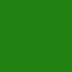 Fogli in Carta Velina Colorata - Cm 50x76 Confezione da 24 Fogli verde