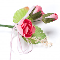 Pick Roselline - Gipsy rosa da vicino